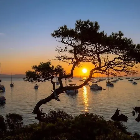 Apartamento La Parenthese Hyeroise T3 Sur Le Port De